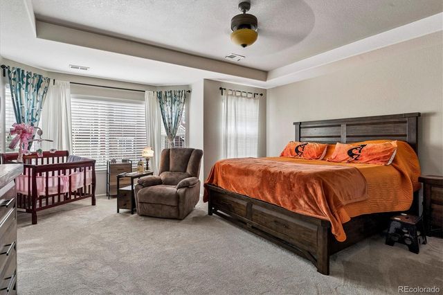 2810 Shadow Dance Drive, Castle Rock, CO 80109