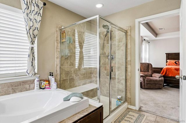 2810 Shadow Dance Drive, Castle Rock, CO 80109