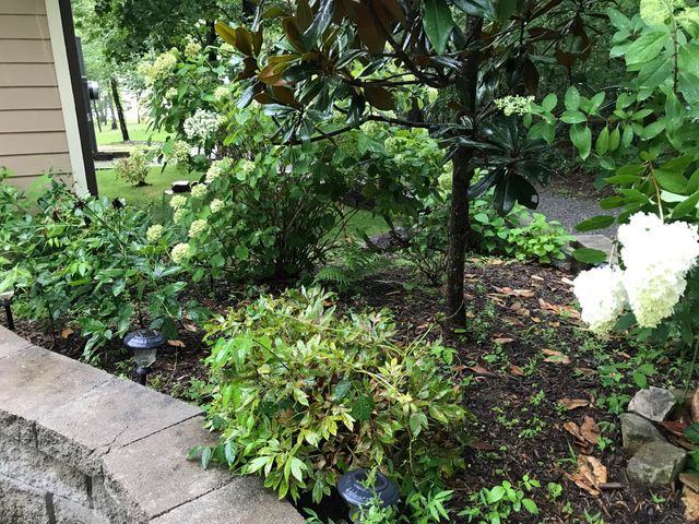 80 Tanya Ln, Dunlap, TN 37327