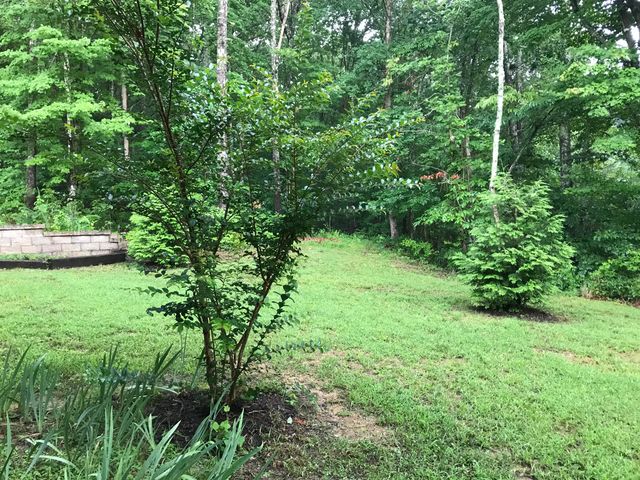 80 Tanya Ln, Dunlap, TN 37327