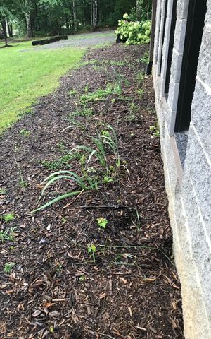 80 Tanya Ln, Dunlap, TN 37327