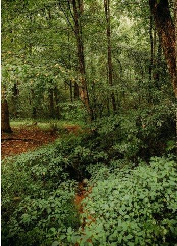 200 Old Woodring Road, Ellijay, GA 30540