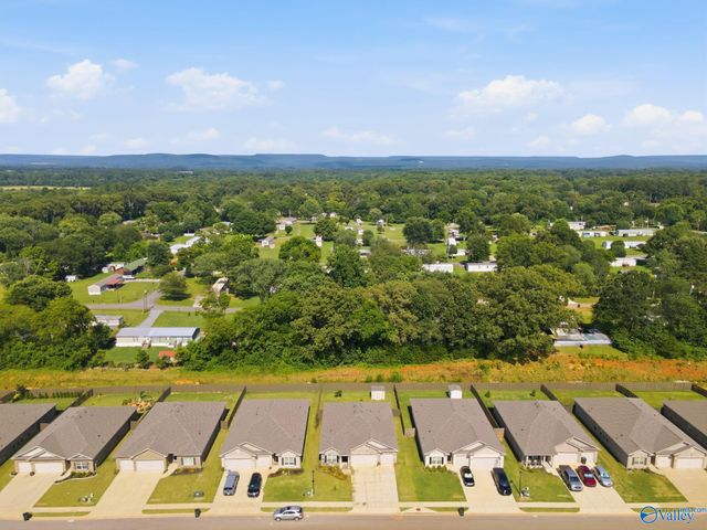317 Broad Row Street, Huntsville, AL 35811