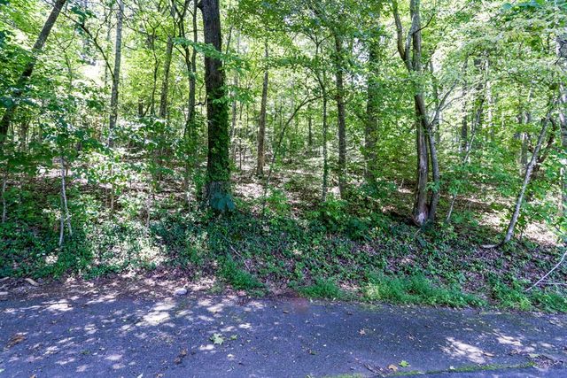 Lot 6 Kilpatrick Point Lane, Hayesville, NC 28904