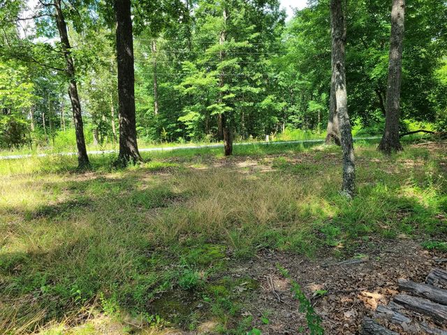 1327 Lakeshore Dr, Beechgrove, TN 37018