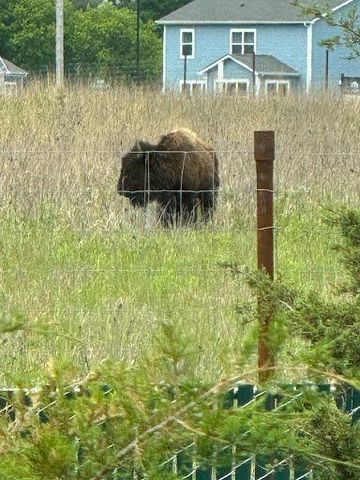 4130 Blakewood Drive, Shakopee, MN 55379