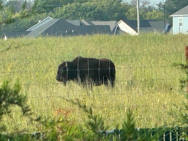 4130 Blakewood Drive, Shakopee, MN 55379