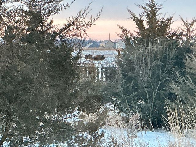 4130 Blakewood Drive, Shakopee, MN 55379