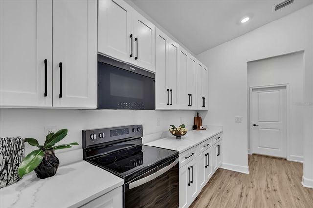 1209 BARDAHL AVENUE, Spring Hill, FL 34609