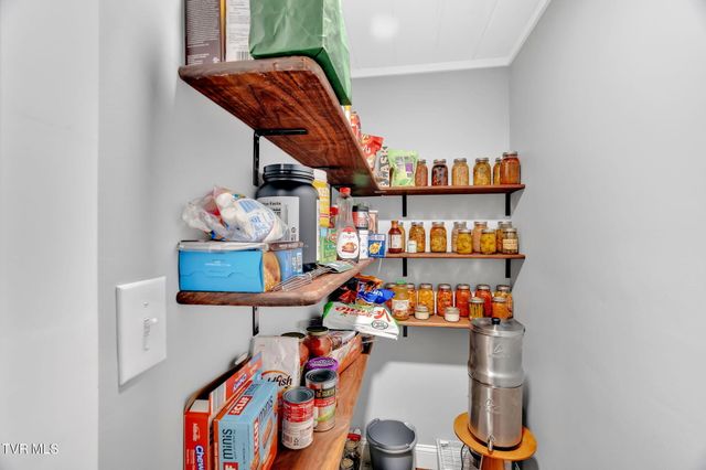 118 West Ellis Lane, Mount Carmel, TN 37645