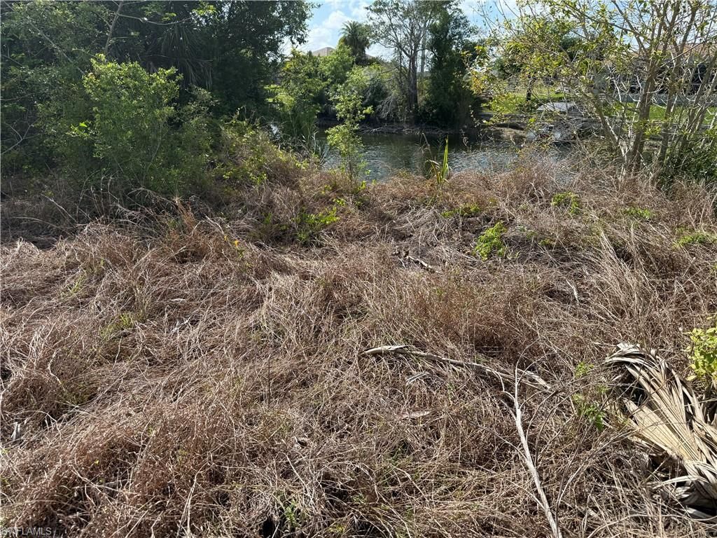 2114 NE 26th ST, CAPE CORAL, FL 33909 — photo 3