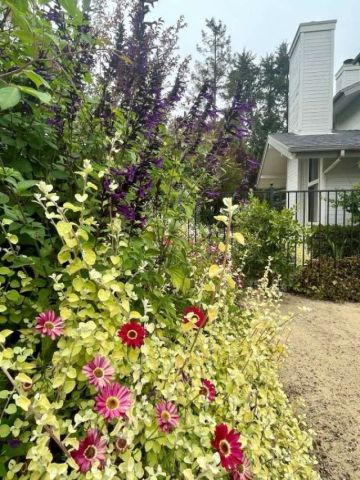 5660 Tamarisk Way, San Luis Obispo, CA 93401