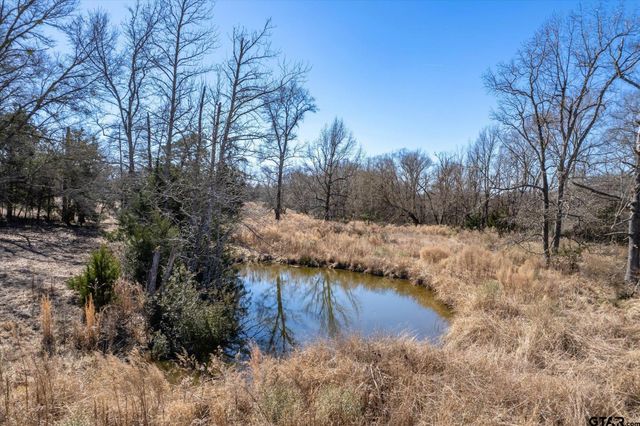 12095 FM 317, Murchison, TX 75778