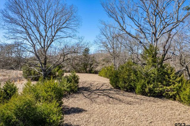 12095 FM 317, Murchison, TX 75778