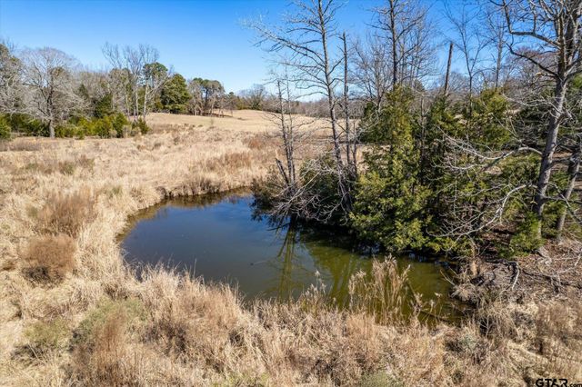 12095 FM 317, Murchison, TX 75778