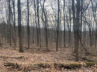 0 Blue Jay Road, Heath, OH 43056