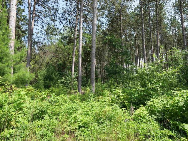 Lot 7 TWO SISTERS COURT, Stevens Point, WI 54482