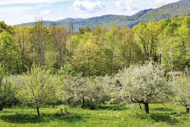 1312 Macintosh Hill Road, Bethel, VT 05060