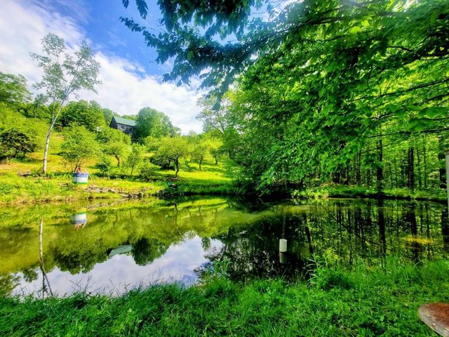 1312 Macintosh Hill Road, Bethel, VT 05060