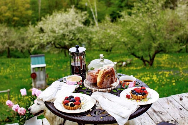 1312 Macintosh Hill Road, Bethel, VT 05060