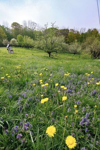 1312 Macintosh Hill Road, Bethel, VT 05060