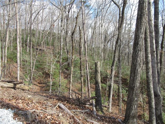 Lots 31 and 32 Belvoir Drive, Pickens, SC 29671