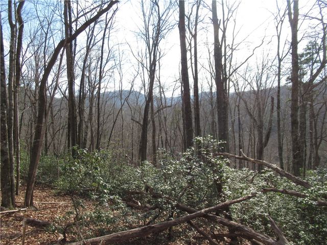 Lots 31 and 32 Belvoir Drive, Pickens, SC 29671