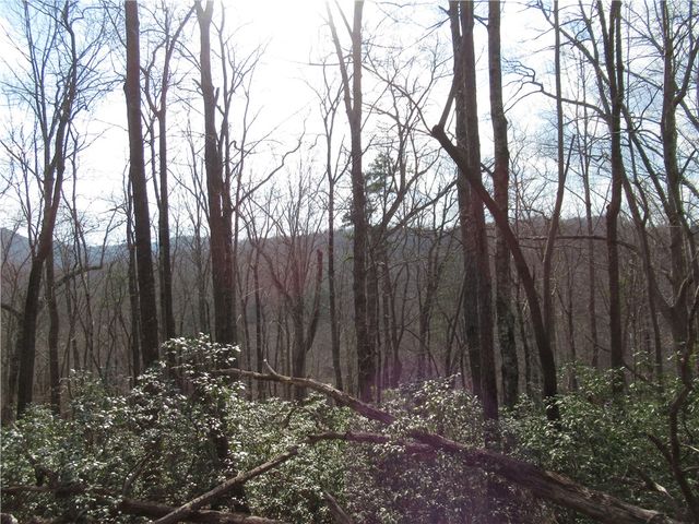 Lots 31 and 32 Belvoir Drive, Pickens, SC 29671