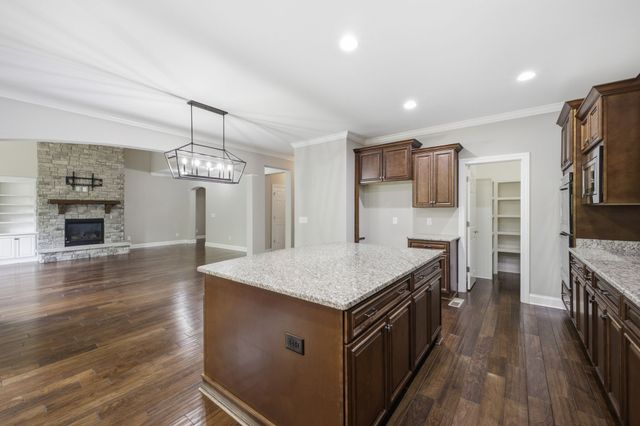 6764 Falls Ridge Ln, College Grove, TN 37046