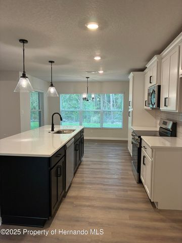 54 Village Center Dr. Drive, Homosassa, FL 34446