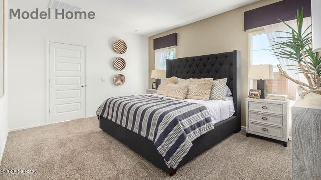 10018 N Guayacan Trail, Marana, AZ 85653