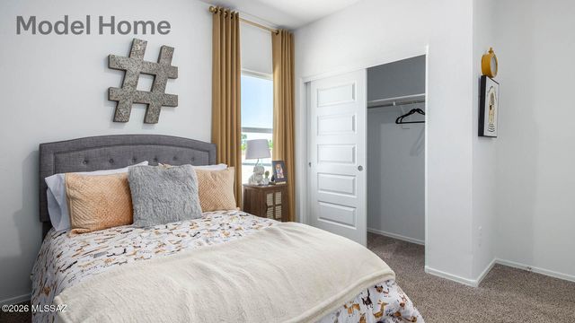 10018 N Guayacan Trail, Marana, AZ 85653