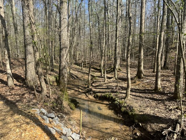268 Sugar Maple Dr, Dover, TN 37058