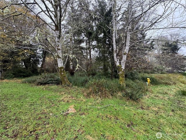 764 Tern Court, Ocean Shores, WA 98569