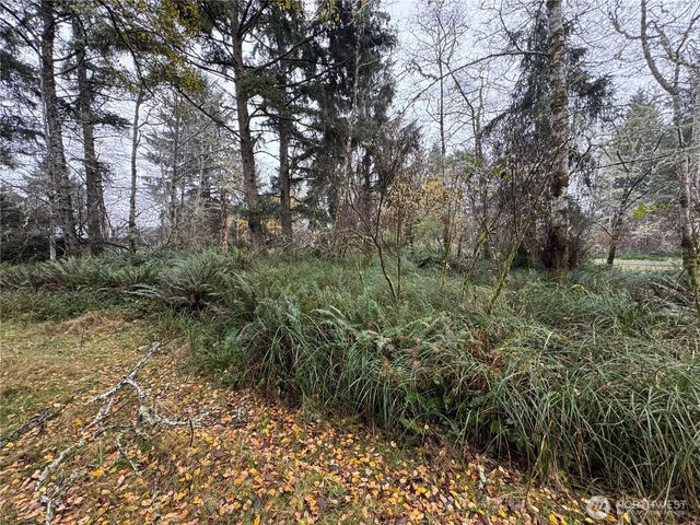 764 Tern Court, Ocean Shores, WA 98569