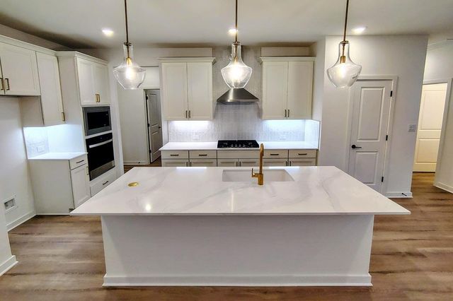 1817 Spring Mountain CV, Georgetown, TX 78628