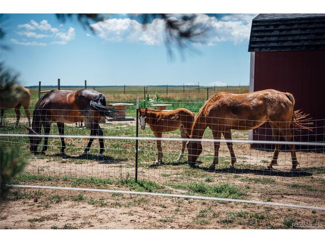 21525 Elk Meadows Cir, Elbert, CO 80106