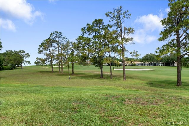 1969 N Yawkey Point, Hernando, FL 34442