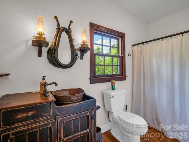 115 Apple Meadow Court, Lake Lure, NC 28746
