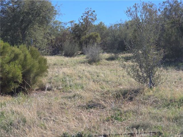 0 Taron Trail, Anza, CA 92539