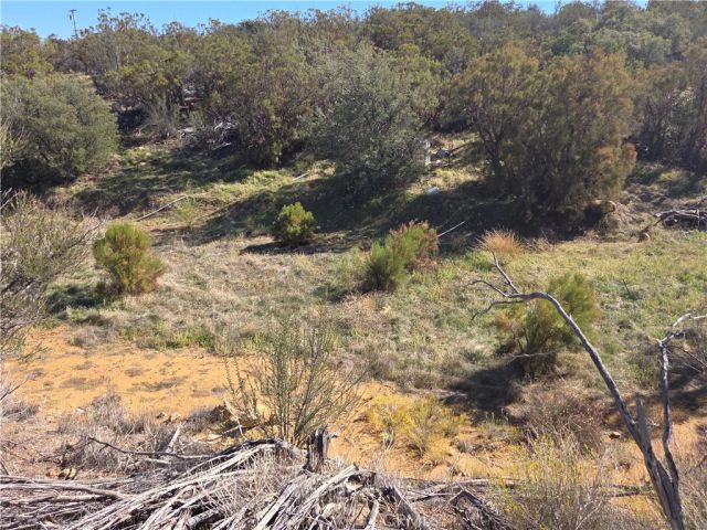 0 Taron Trail, Anza, CA 92539
