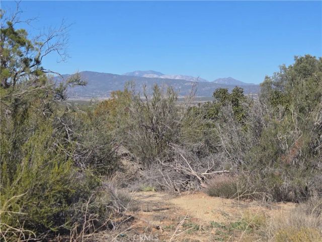 0 Taron Trail, Anza, CA 92539
