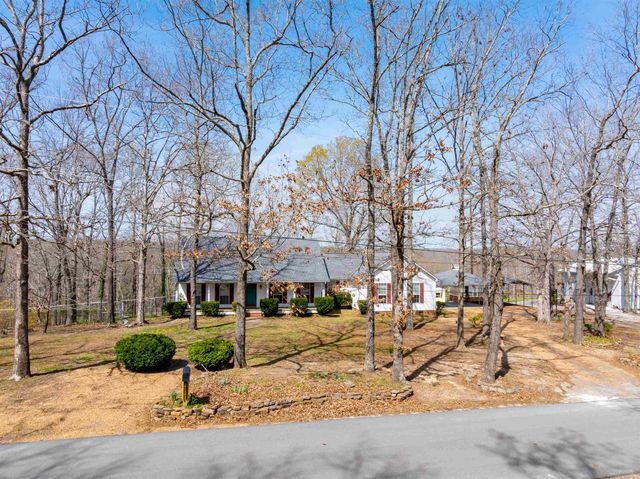 706 N Ridgeview Drive, Mountain View, AR 72560