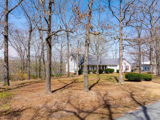 706 N Ridgeview Drive, Mountain View, AR 72560