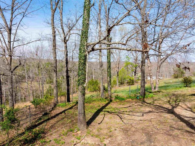 706 N Ridgeview Drive, Mountain View, AR 72560