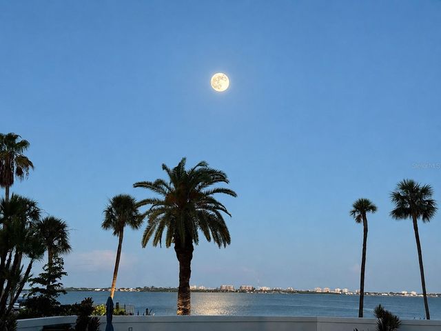988 BLVD OF THE ARTS 109, Sarasota, FL 34236