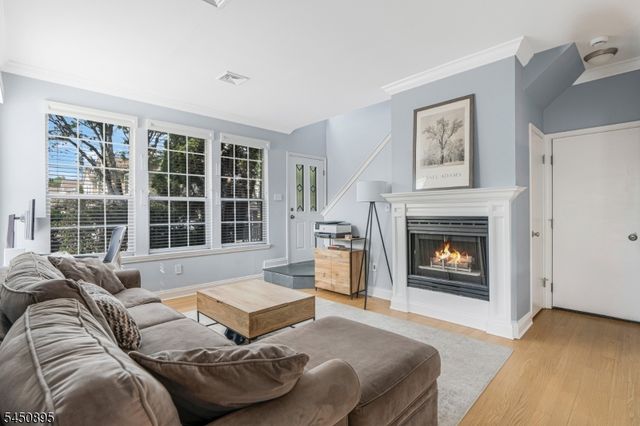 1 Teal Ln, Bedminster Twp., NJ 07921