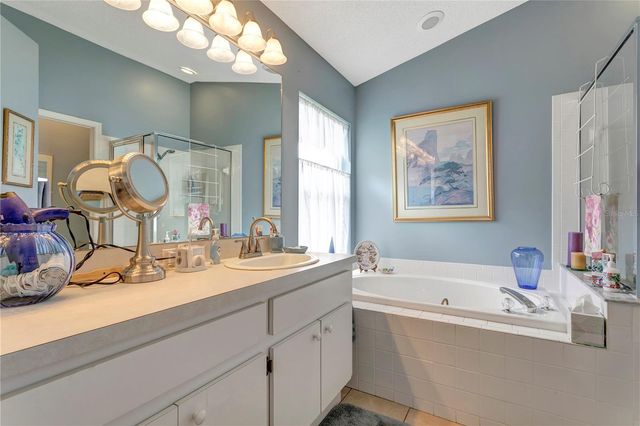 3049 BEAVER POND TRAIL, Valrico, FL 33596