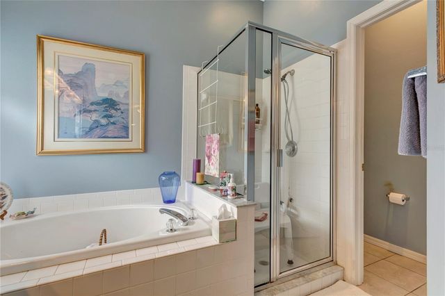 3049 BEAVER POND TRAIL, Valrico, FL 33596