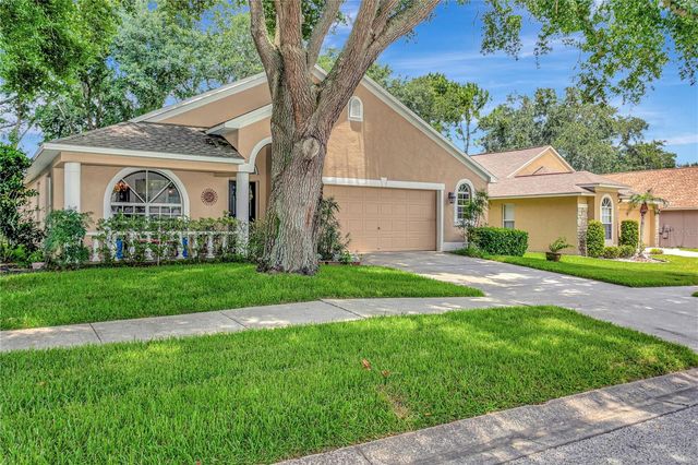 3049 BEAVER POND TRAIL, Valrico, FL 33596